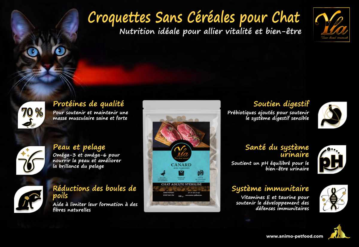 Croquettes équilibrées pour chats sédentaires, adaptées à un mode de vie avec faible activité physique.