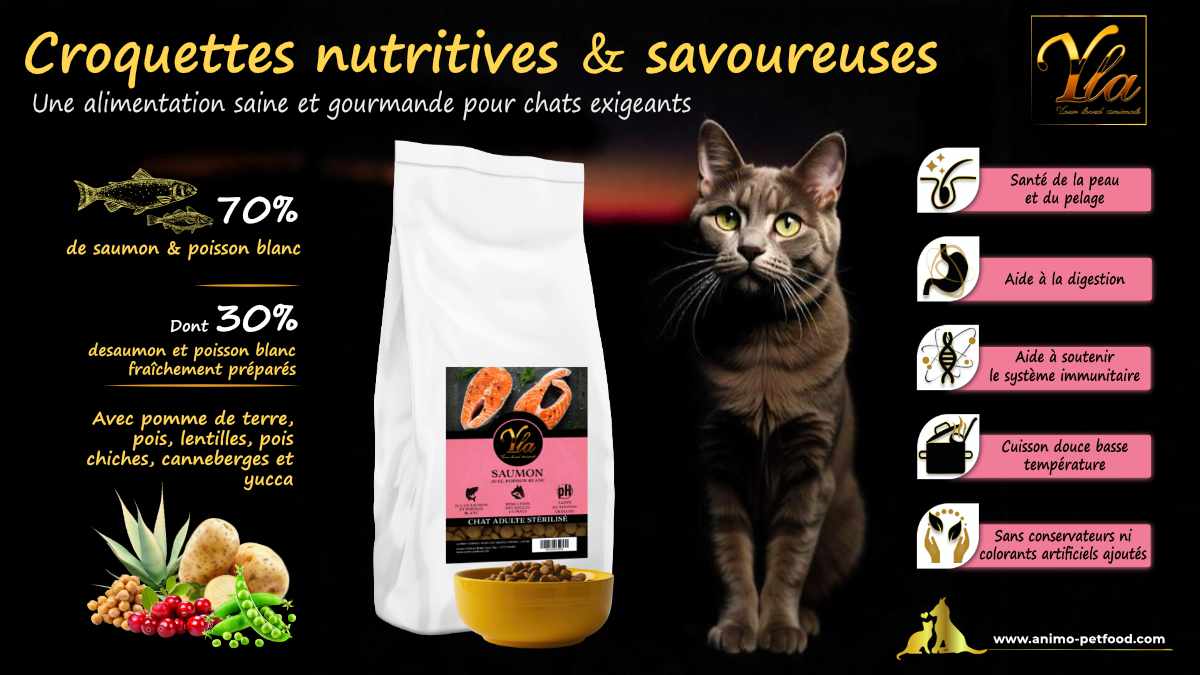 Croquettes holistiques sans céréales pour chat stérilisé, riches en saumon et poisson blanc, favorisant digestion et vitalité.