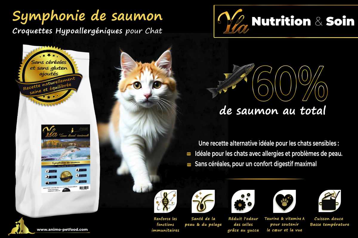 Nourriture hypoallergénique au saumon sans céréales pour chat adulte