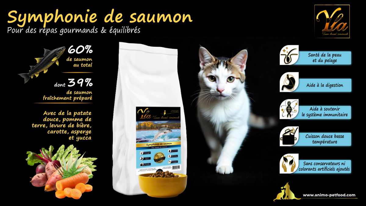 Croquettes hypoallergéniques au saumon pour chat adulte