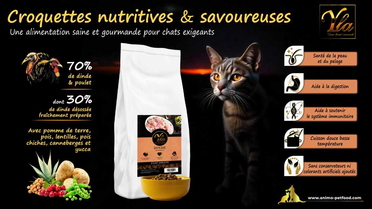 Croquettes hypoallergéniques pour chat adulte – Dinde et poulet, adaptées aux chats sensibles.