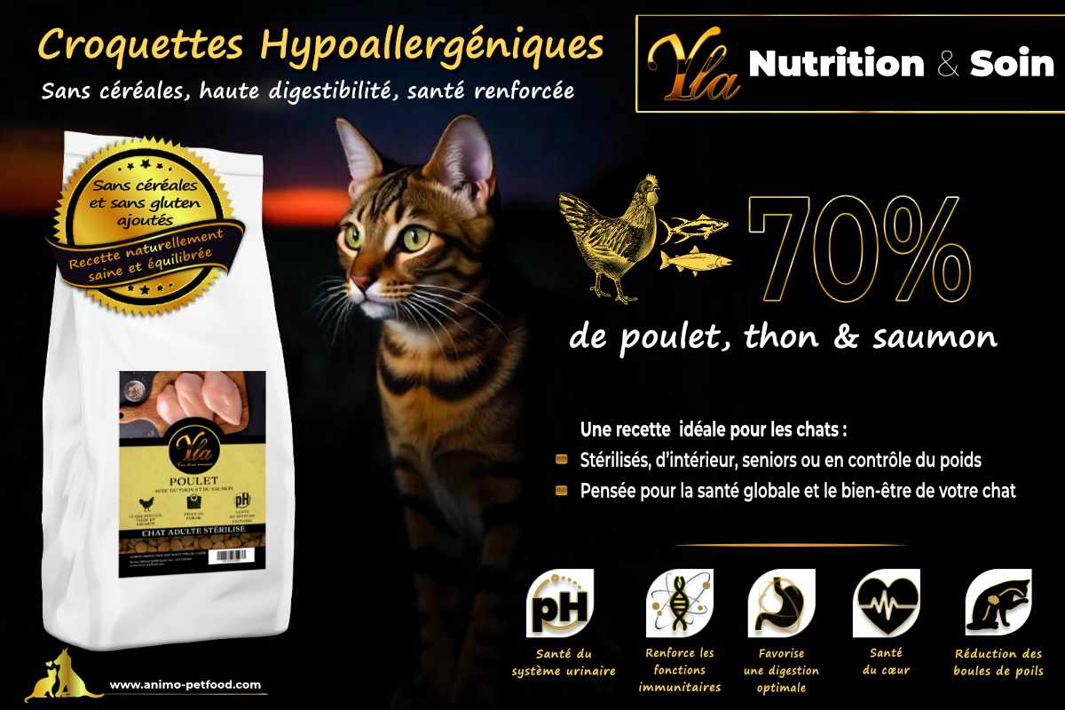 Croquettes hypoallergéniques pour chat stérilisé, sans céréales ni gluten, riches en protéines animales.