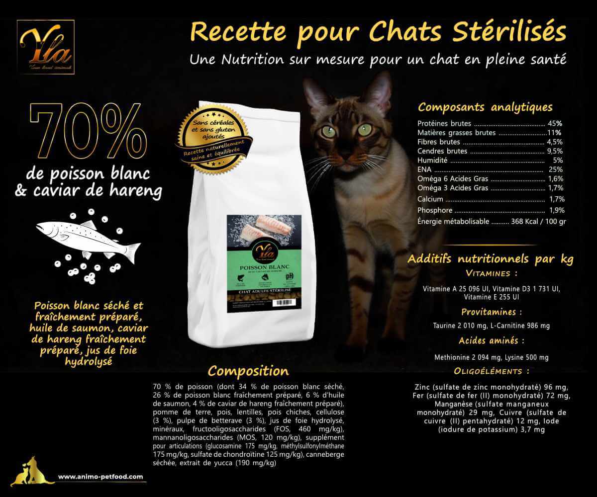 Animo PetFood-Yla, tous droits réservés