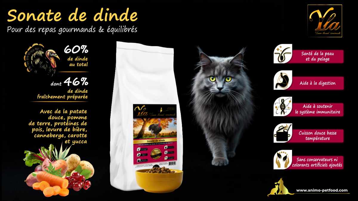 Croquettes sans céréales à la dinde pour chats sensibles