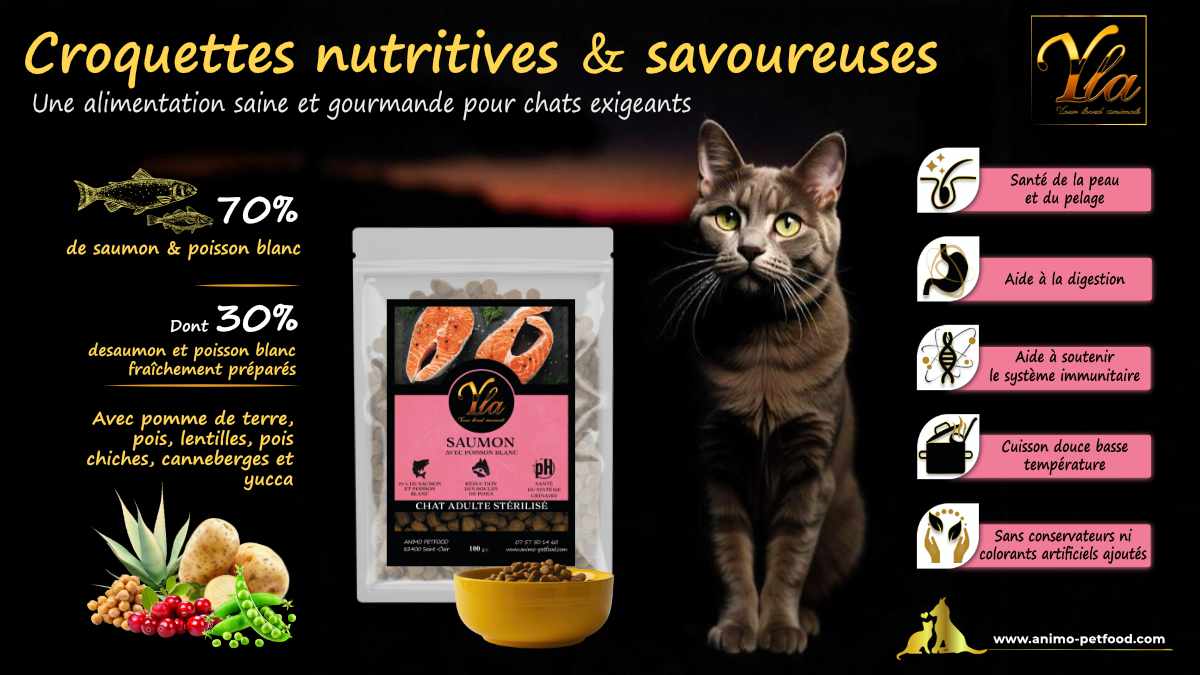 Croquettes haut de gamme sans céréales pour chat stérilisé, riches en protéines et en nutriments essentiels.