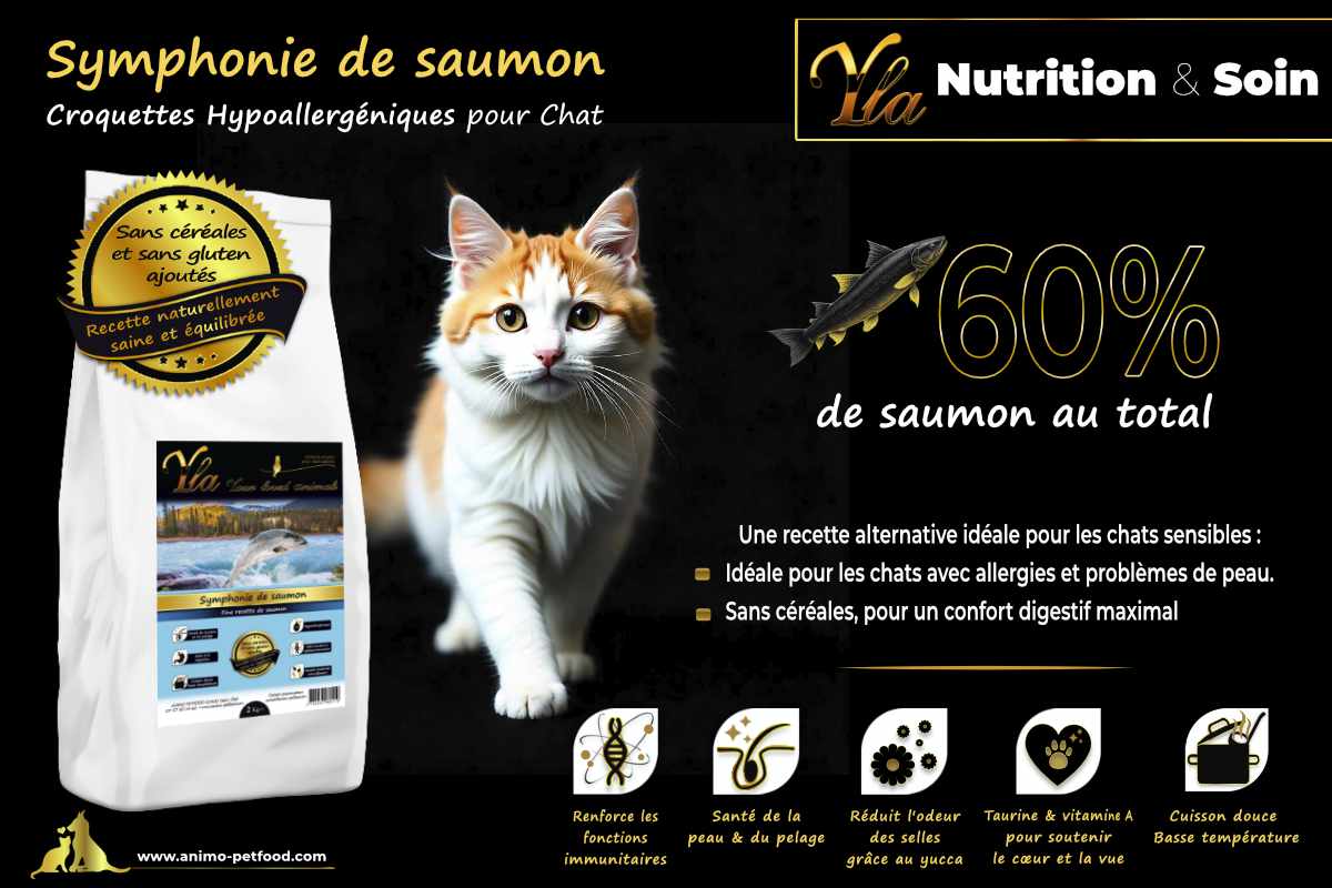 Croquettes sans céréales et hypoallergéniques au saumon pour chat adulte