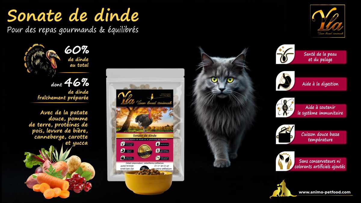 Croquettes naturelles à la dinde pour chats, cuites en douceur pour préserver les nutriments et favoriser leur santé.