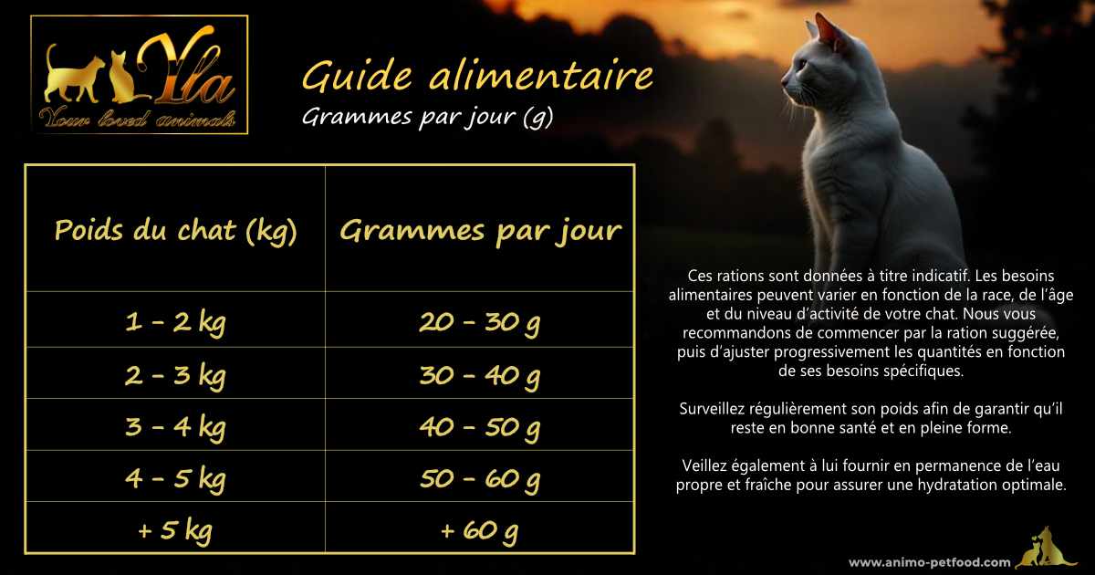 Guide d’alimentation sur les croquettes pour chats stérilisés, pour une nutrition équilibrée et adaptée.