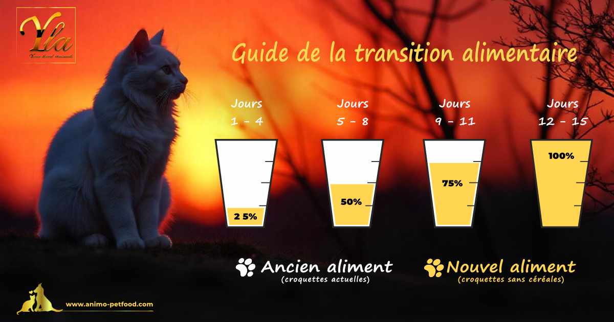 Guide pratique pour une transition en douceur vers de nouvelles croquettes pour chat, avec des conseils étape par étape.