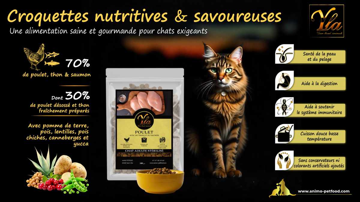 Croquettes sans céréales pour chat, nutrition féline saine