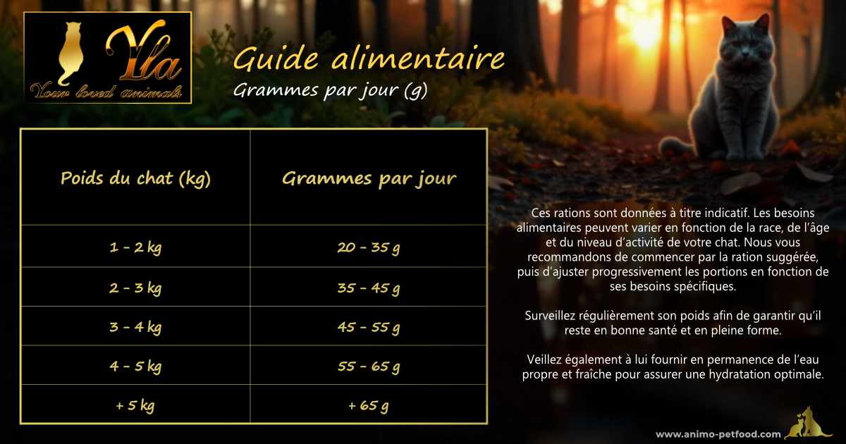 Calcul de la ration quotidienne pour chat adulte