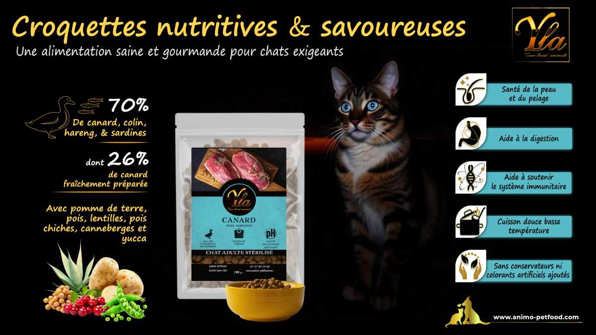 Recette naturelle et savoureuse, idéale pour les chats stérilisés exigeants en quête d’une alimentation équilibrée