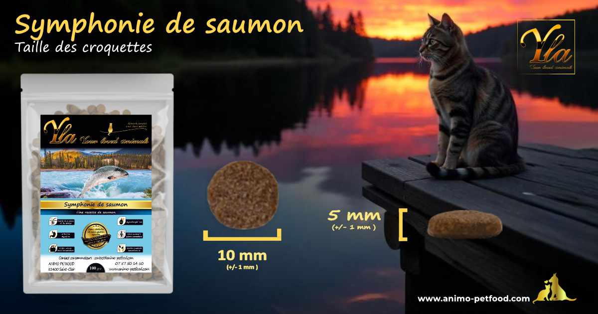 Taille idéale des croquettes pour un confort alimentaire optimal chez le chat.