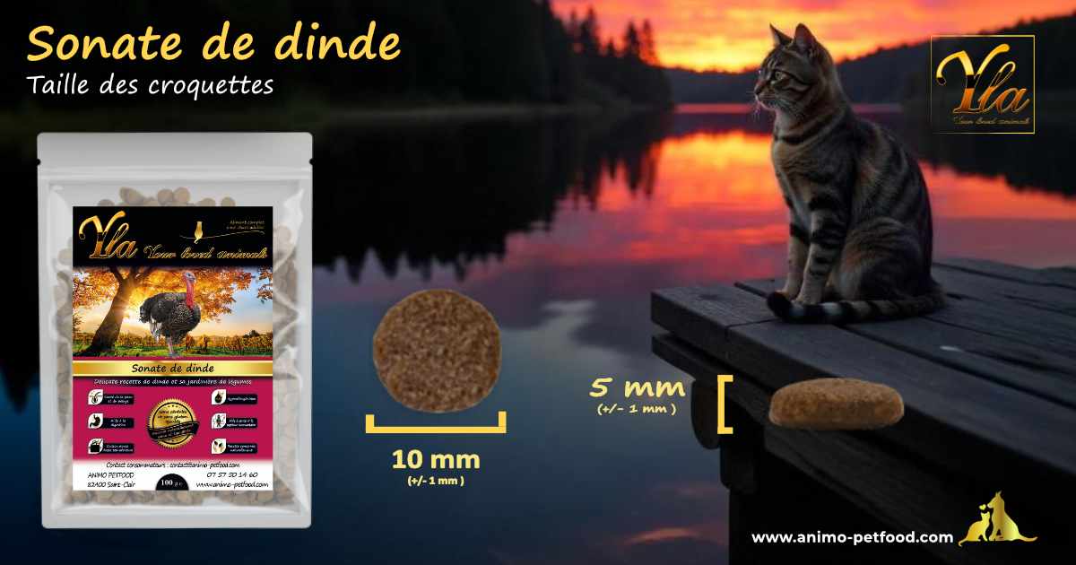 Croquettes de taille parfaite, adaptées aux mâchoires des chats adultes pour un repas équilibré et confortable.