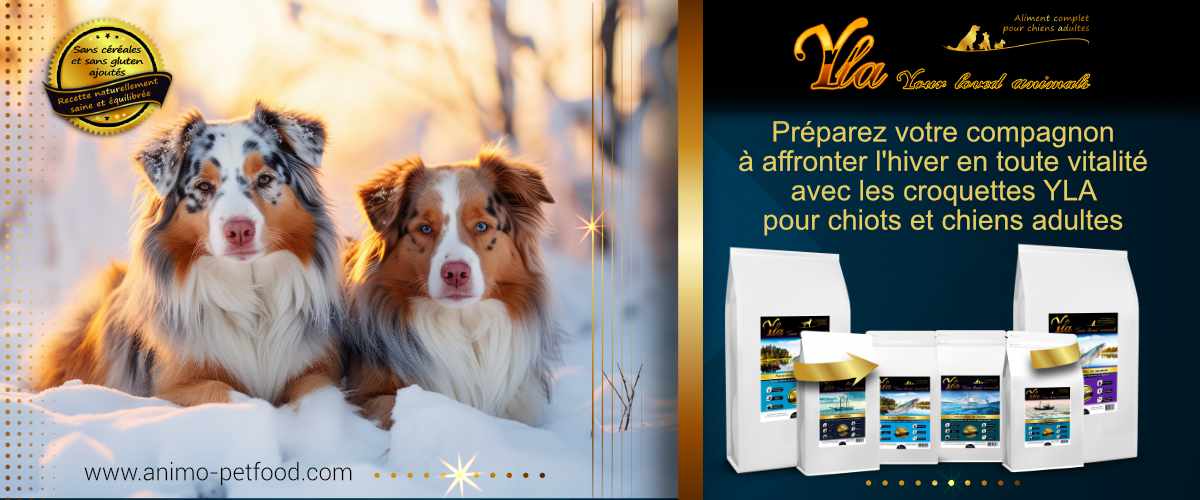 croquettes-aux-poissons-sans-cereales-adaptees-aux-chiots-et-chien