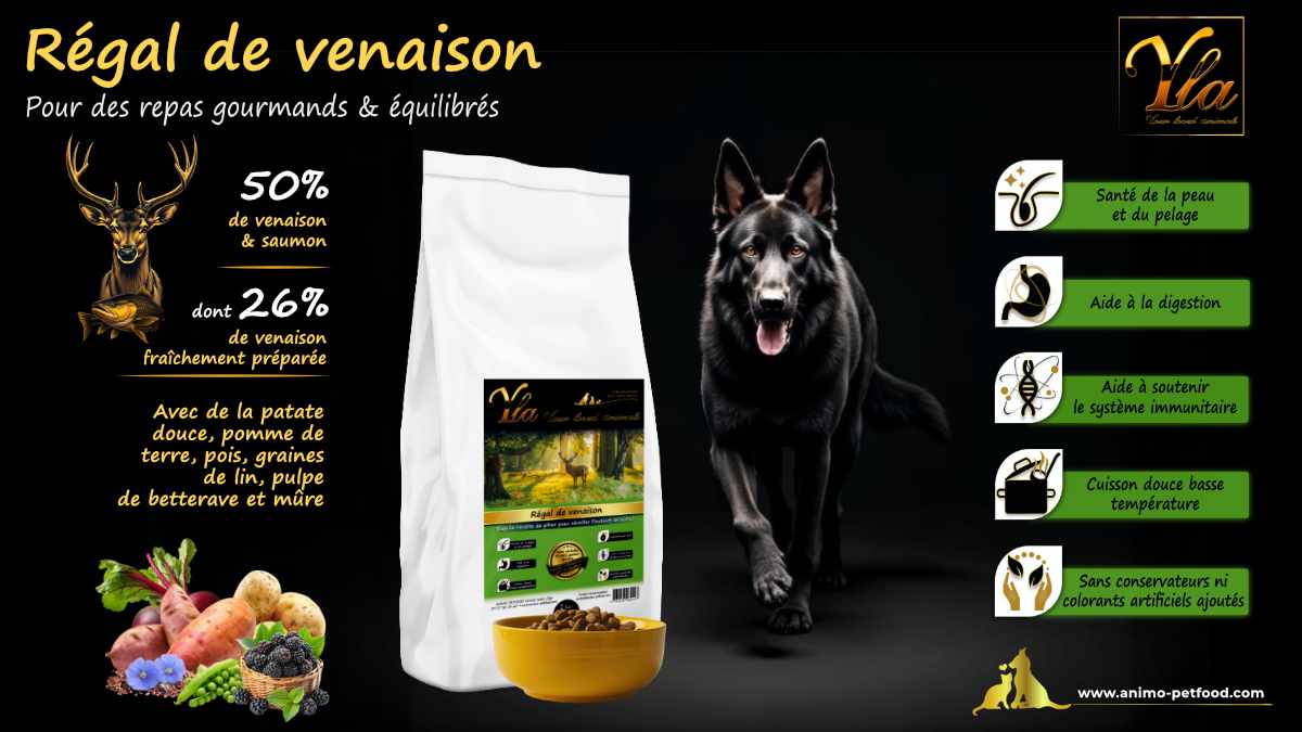 Régal de Venaison : croquettes naturelles pour chiens avec venaison et ingrédients sains.