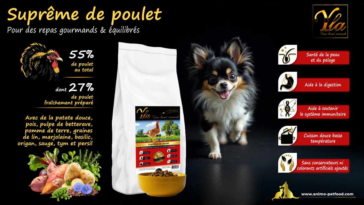 Croquettes au poulet pour chiens de petite race, sans céréales et sans gluten, idéales pour les allergies alimentaires.