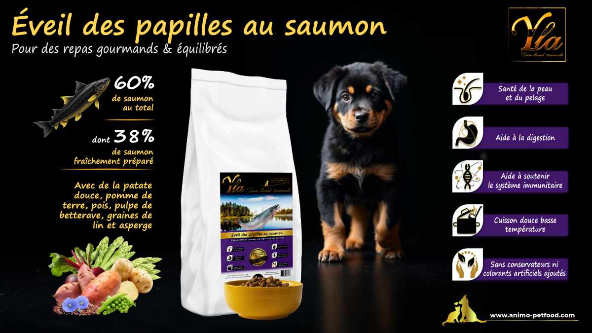 Croquettes naturelles au saumon pour chiots, sans céréales ni gluten, spécialement conçues pour les grandes races.