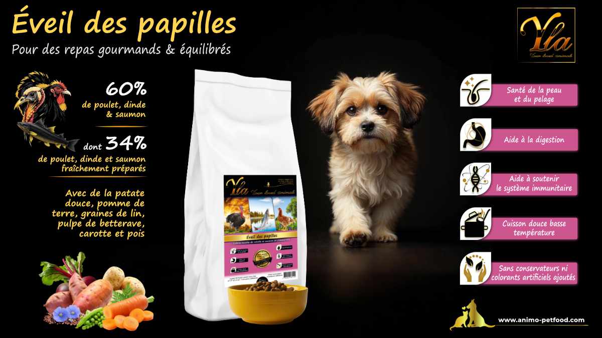 Croquettes naturelles pour chiots, hypoallergéniques, sans céréales ni gluten pour une meilleure digestion