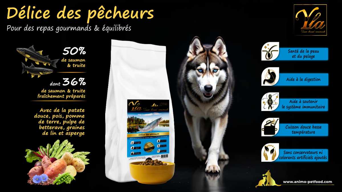 Croquettes hypoallergéniques au saumon et truite pour chiens sensibles, idéales contre les problèmes de peau et de pelage terne