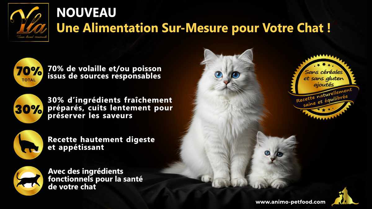 Alimentation sur mesure pour chats