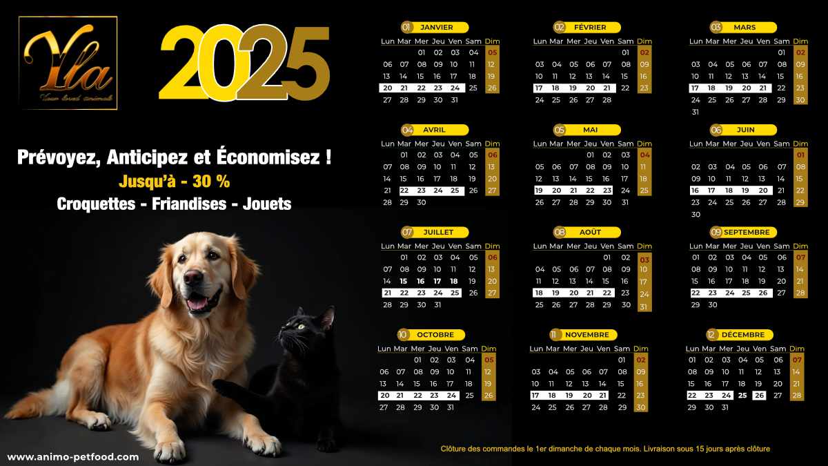 Calendrier promotionnel 2025 pour croquettes et friandises pour animaux – économisez toute l’année.