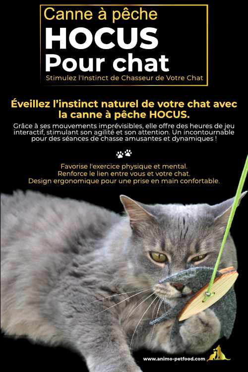 Jouet interactif pour chat, canne à pêche avec oiseau pour des séances de jeu dynamiques