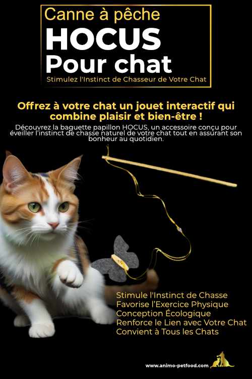 Jouet interactif pour chat, canne à pêche avec papillon pour des séances de jeu amusantes