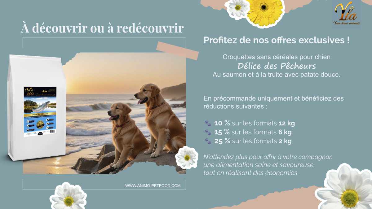 Croquettes sans céréales Délice des Pêcheurs au saumon et à la truite avec patate douce pour chien en précommande avec réductions spéciales