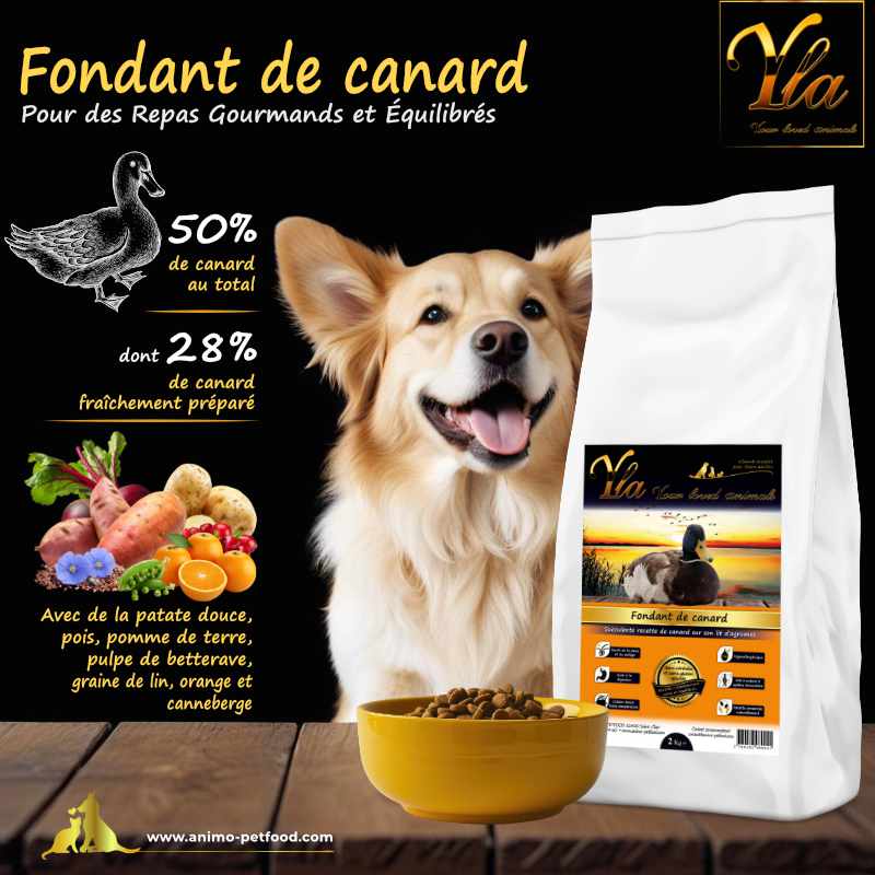 Croquettes sans céréales au canard pour chien, alimentation saine et équilibrée