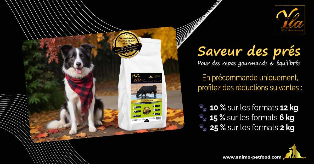 Précommande de croquettes pour chiens Saveur des prés au bœuf Angus - Alimentation sans céréales avec réductions sur formats 12 kg, 6 kg, et 2 kg - Livraison novembre