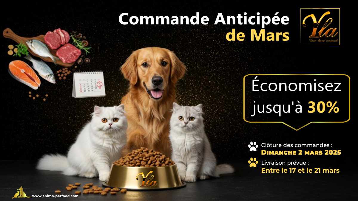 Précommande croquettes et friandises