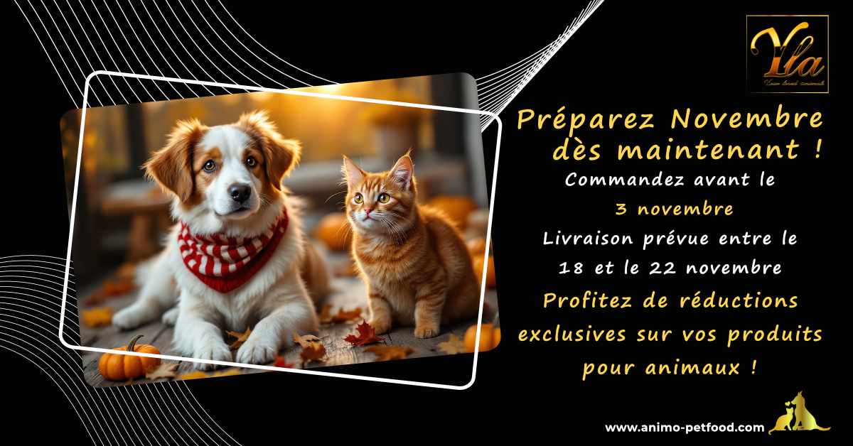 Précommande novembre pour animaux - Commandez avant le 3 novembre et recevez votre livraison entre le 18 et le 22 novembre - Réductions exclusives sur croquettes, friandises, jouets et accessoires