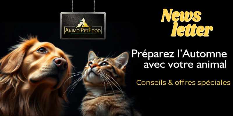 Préparez l’automne avec votre animal de compagnie : découvrez des conseils pratiques et des offres spéciales pour chiens et chats.