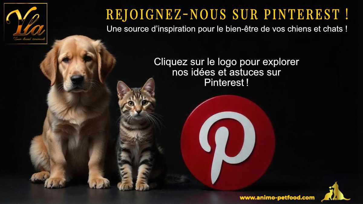 Rejoignez-nous sur Pinterest pour des inspirations et conseils dédiés aux chiens et chats.