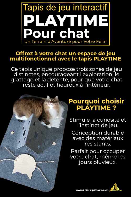 Tapis multifonctionnel pour chat, parfait pour jouer, se détendre et rester actif