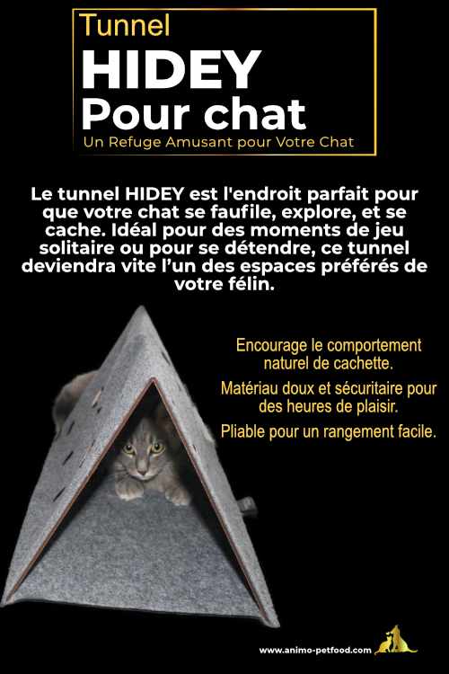 Tunnel pour chat, idéal pour se faufiler, explorer et se cacher. Matériau doux et sécuritaire, pliable pour un rangement facile