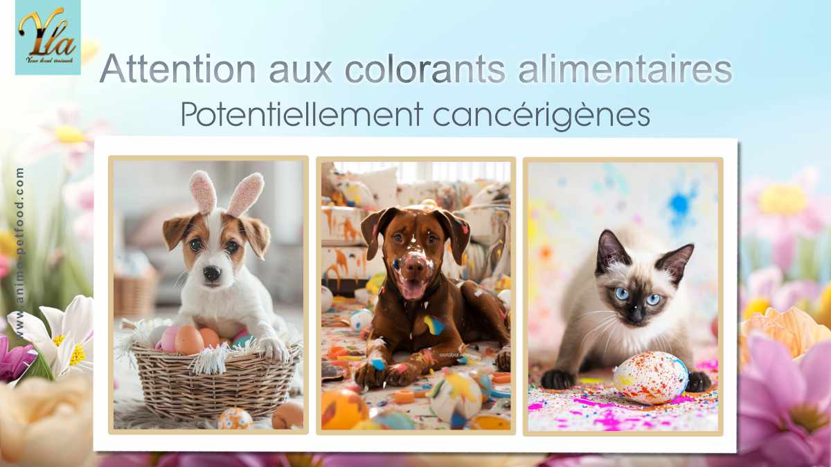 Attention aux colorants alimentaires - Potentiellement cancérigènes pour chien et chat