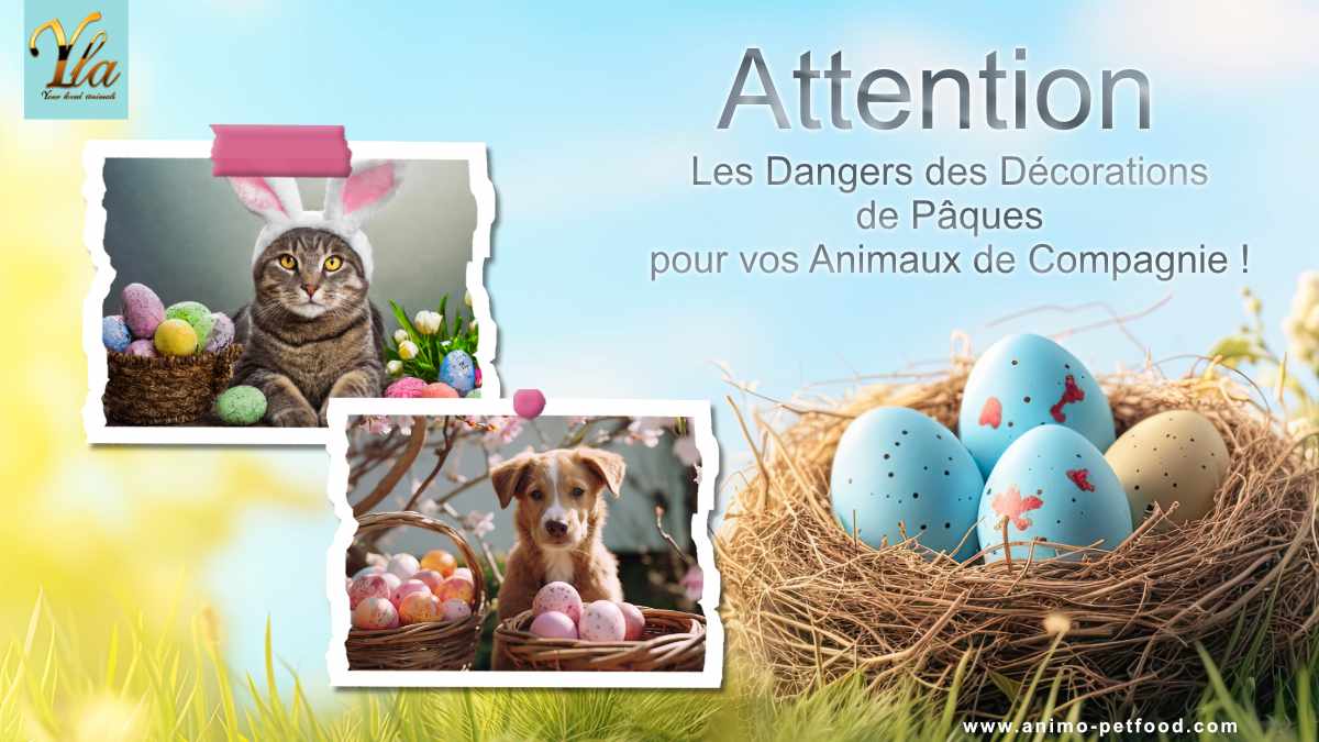 Attention : Risques des Décorations de Pâques pour Chiens et Chats