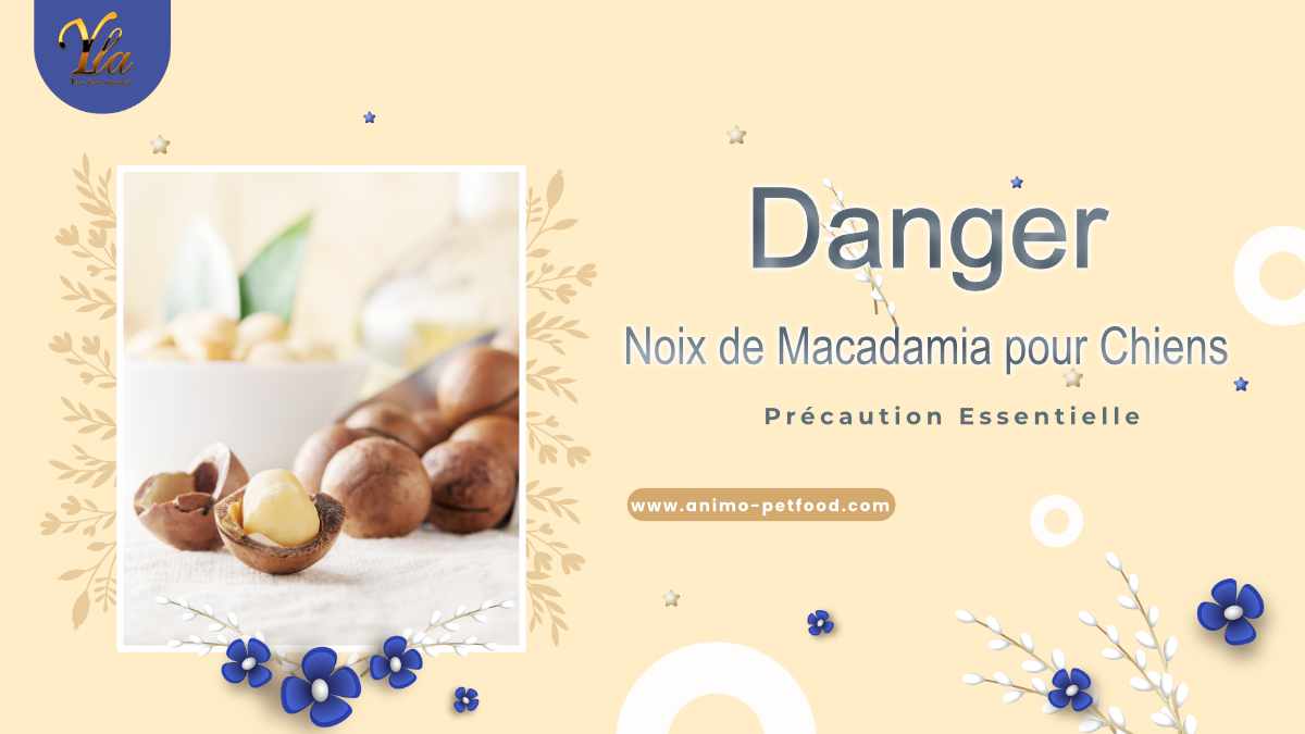 Dangers des Noix de Macadamia pour les Chiens : Symptômes et Précautions à Prendre