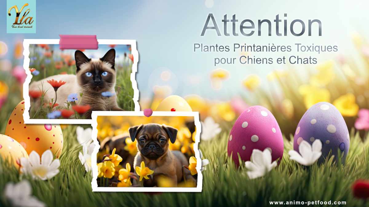 Plantes printanières toxiques pour chiens et chats - Protégez votre animal