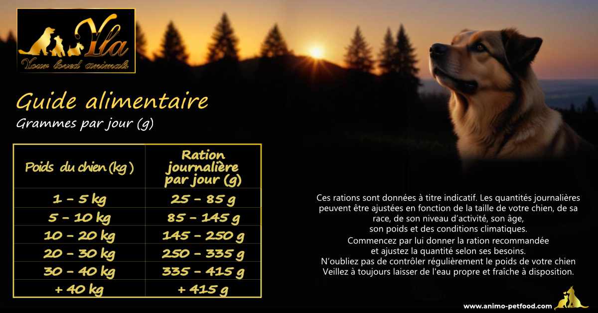 ration idéale pour chien adulte