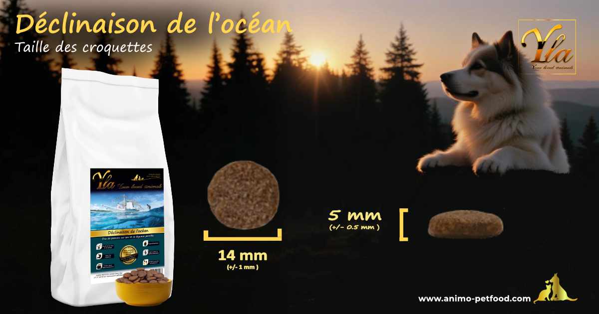 Croquettes sans céréales à l'aiglefin et saumon pour chiens adultes, taille idéale pour une mastication optimale, 14 mm de diamètre et 5 mm d'épaisseur