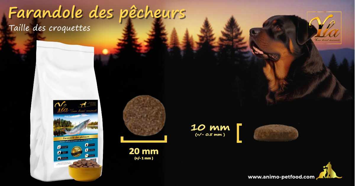 Croquettes en forme ronde pour chiens de grande race, conçues pour une meilleure mastication et une digestion saine