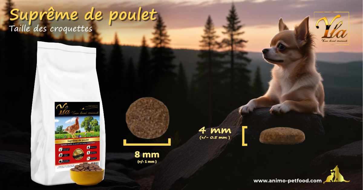 Croquettes pour petits chiens conçues pour une mastication confortable et facile