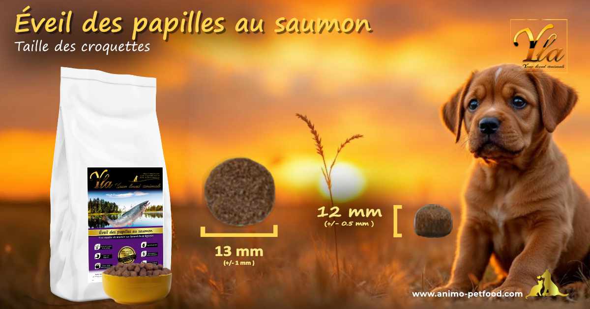 Croquettes adaptées à la mâchoire des chiots de grandes races, offrant une mastication facilitée et prévenant les troubles digestifs.