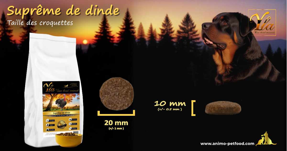 Croquettes optimales pour chiens de grande race – l'importance de la taille pour une bonne mastication