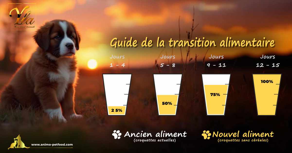 Transition alimentaire progressive des croquettes pour chiots de grande race, pour garantir une bonne digestion et croissance saine