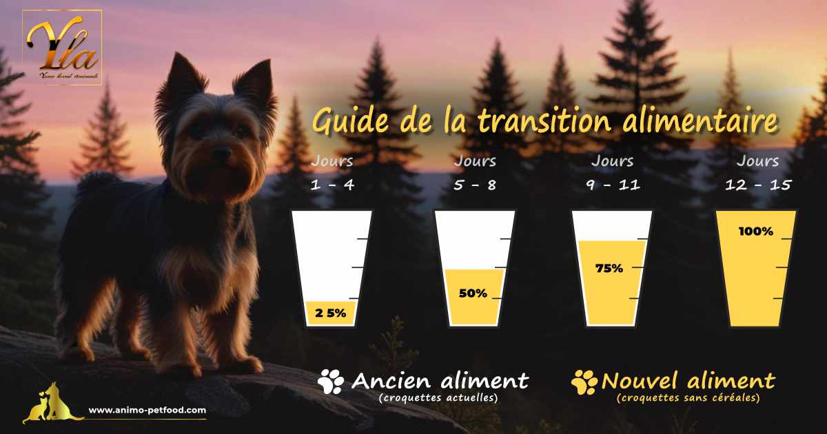 Conseils pratiques pour changer l'alimentation de votre chien