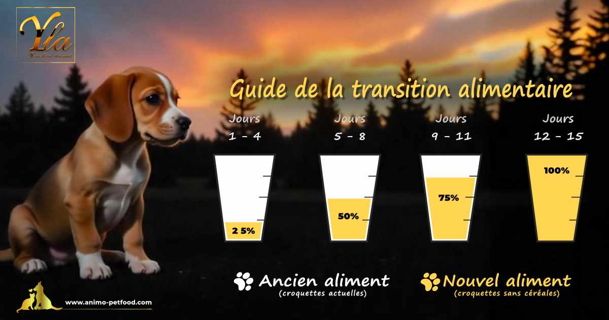 Étapes pour réussir la transition alimentaire de votre chiot : guide pratique